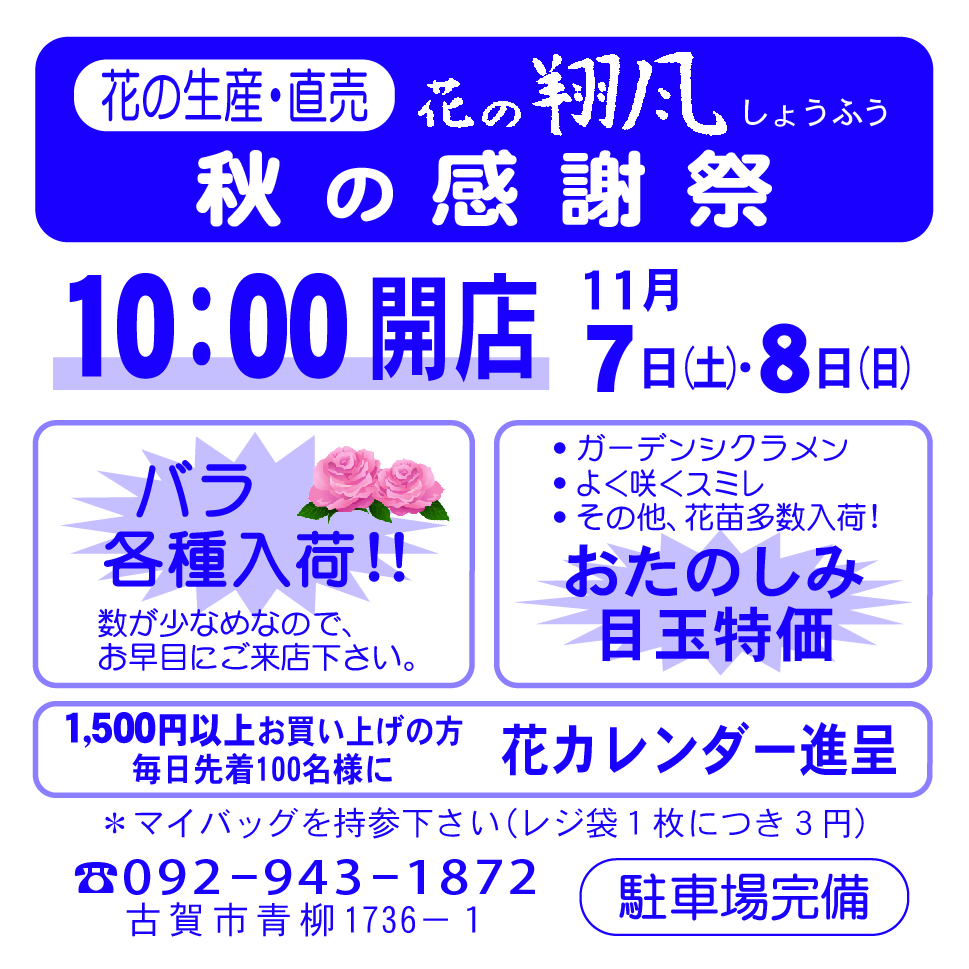 花の翔風10-25